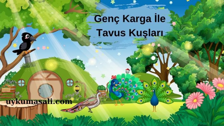 Genç Karga İle Tavus Kuşları