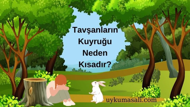 Tavşanların Kuyruğu Neden Kısadır?