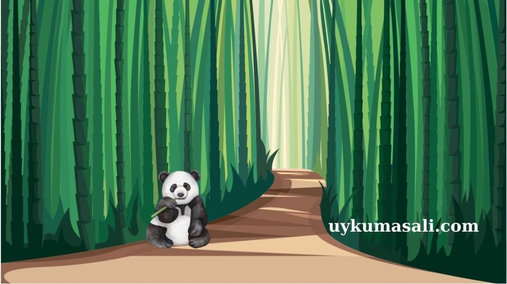 Tiyatroya Giden Panda Masalı