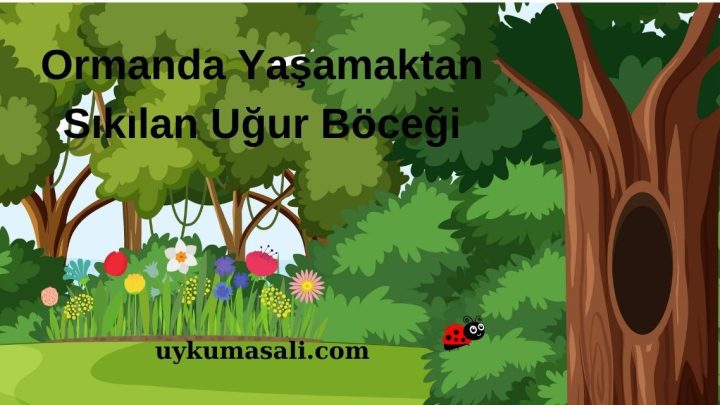 Ormanda Yaşamaktan Sıkılan Uğur Böceği