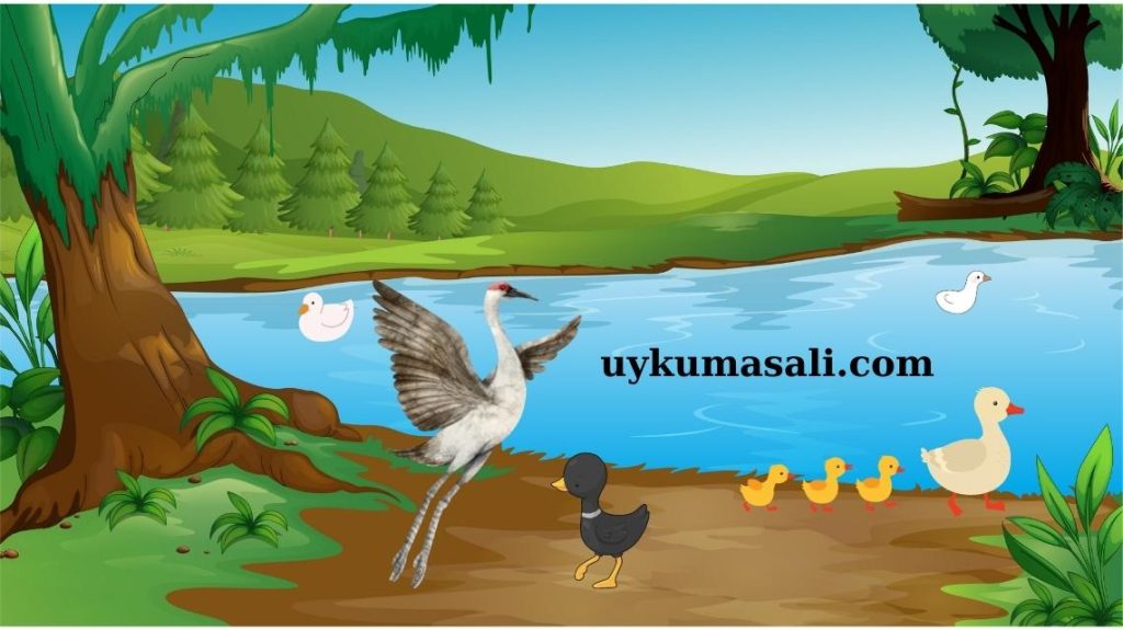 Uçmayı Öğrenen Siyah Ördek Yavrusu