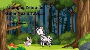 Utangaç Zebra İle Güler Yüzlü Tavşan