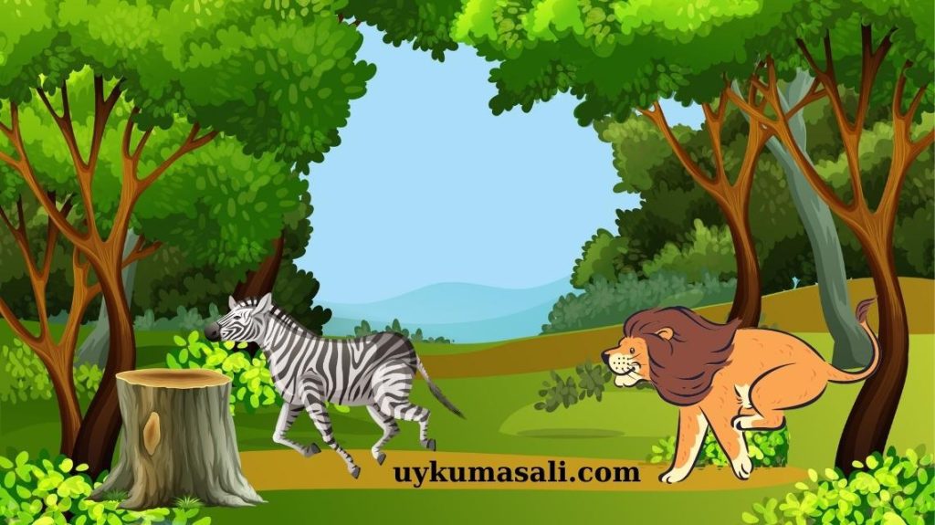 Utangaç Zebra İle Güler Yüzlü Tavşan