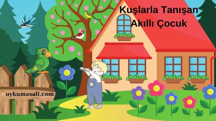 Kuşlarla Tanışan Akıllı Çocuk