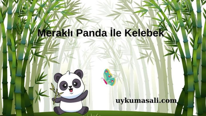 Meraklı Panda İle Kelebek