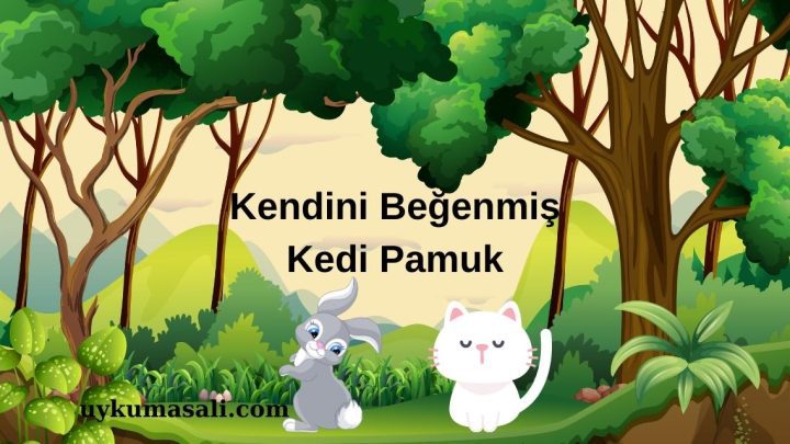 Kendini Beğenmiş Kedi Pamuk