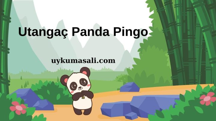 Utangaç Panda Pingo Masalı