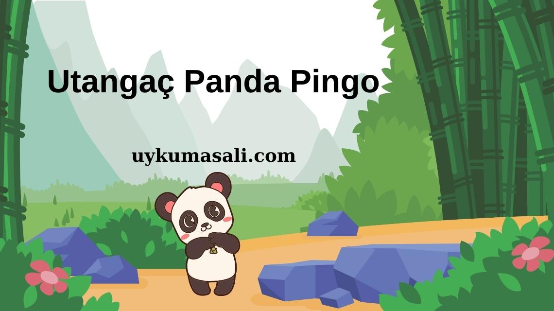 Utangaç Panda Pingo Masalı