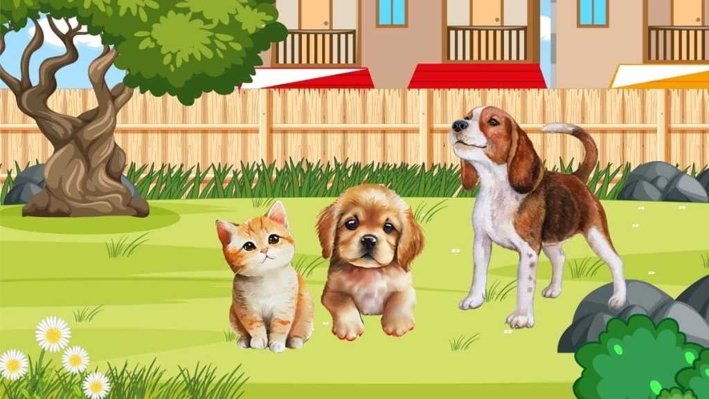 Kayıp Yavru Kedinin Masalı